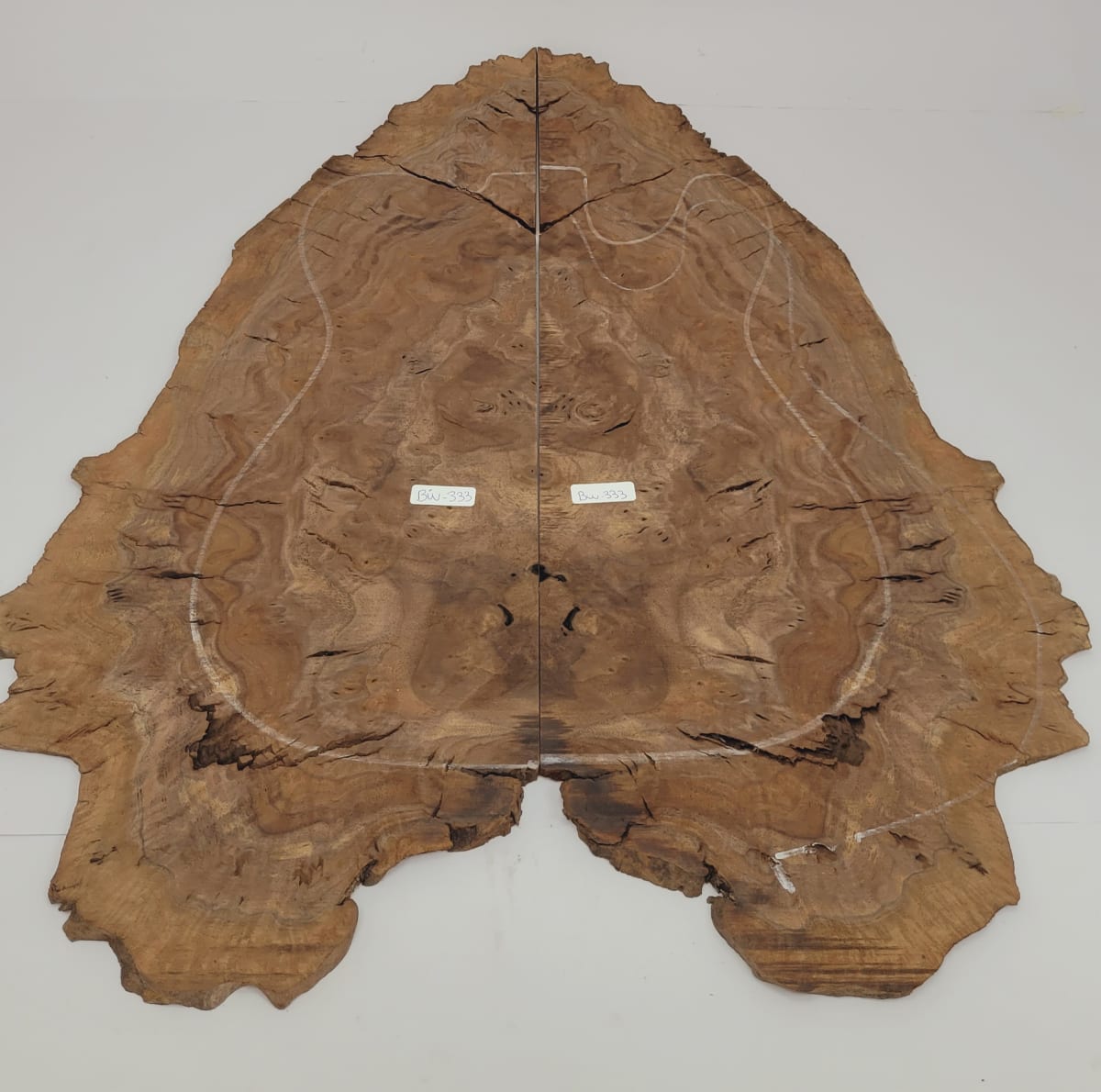 Top Unico REF: BW-333 de Raiz Black Walnut 0