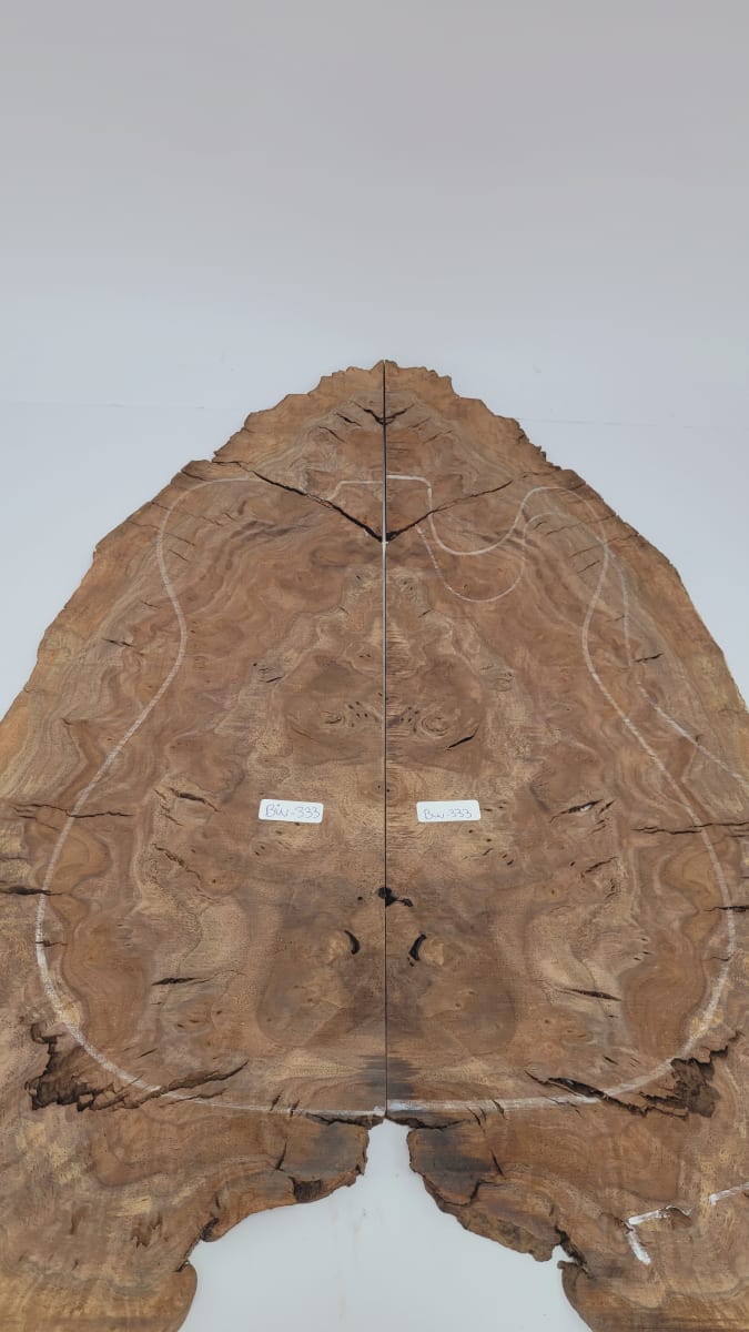 Top Unico REF: BW-333 de Raiz Black Walnut7