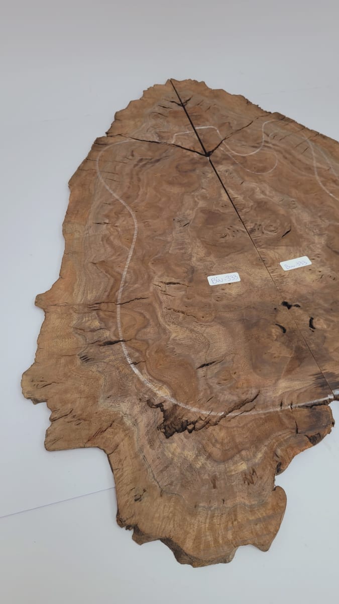 Top Unico REF: BW-333 de Raiz Black Walnut6