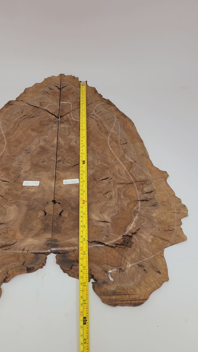 Top Unico REF: BW-333 de Raiz Black Walnut5