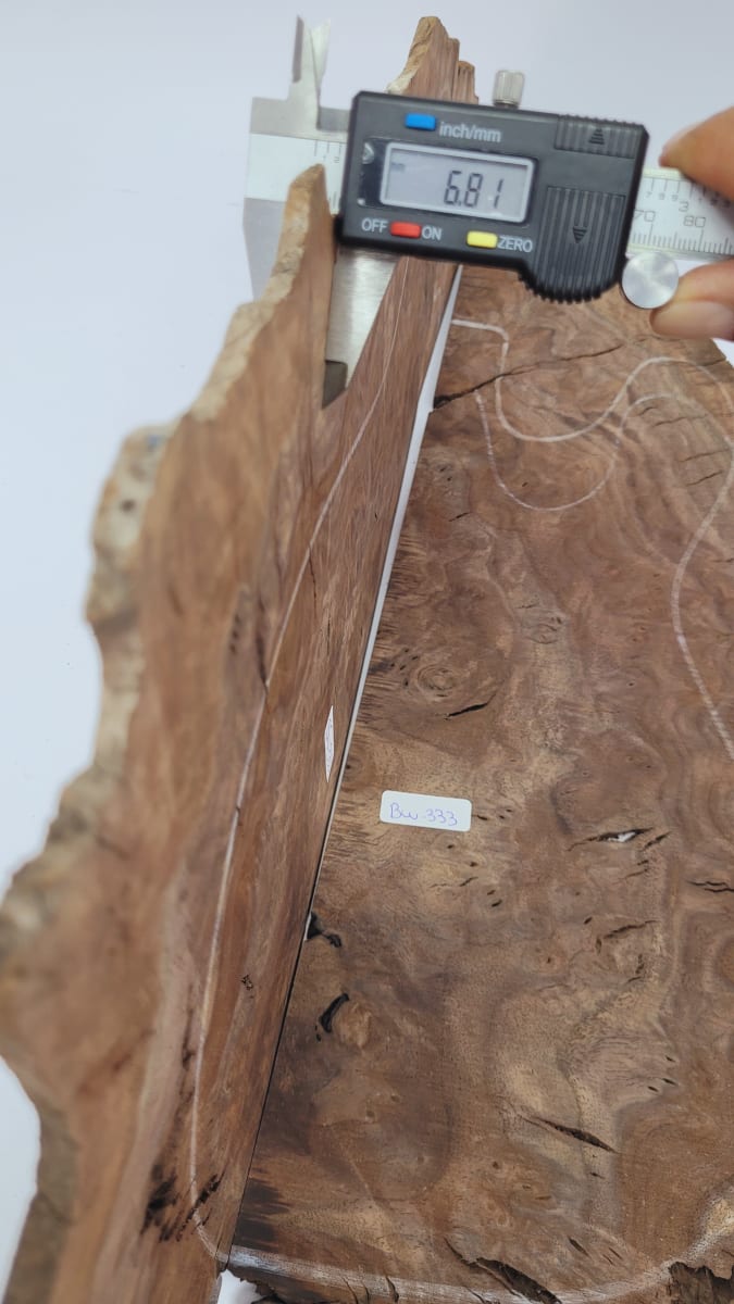 Top Unico REF: BW-333 de Raiz Black Walnut3