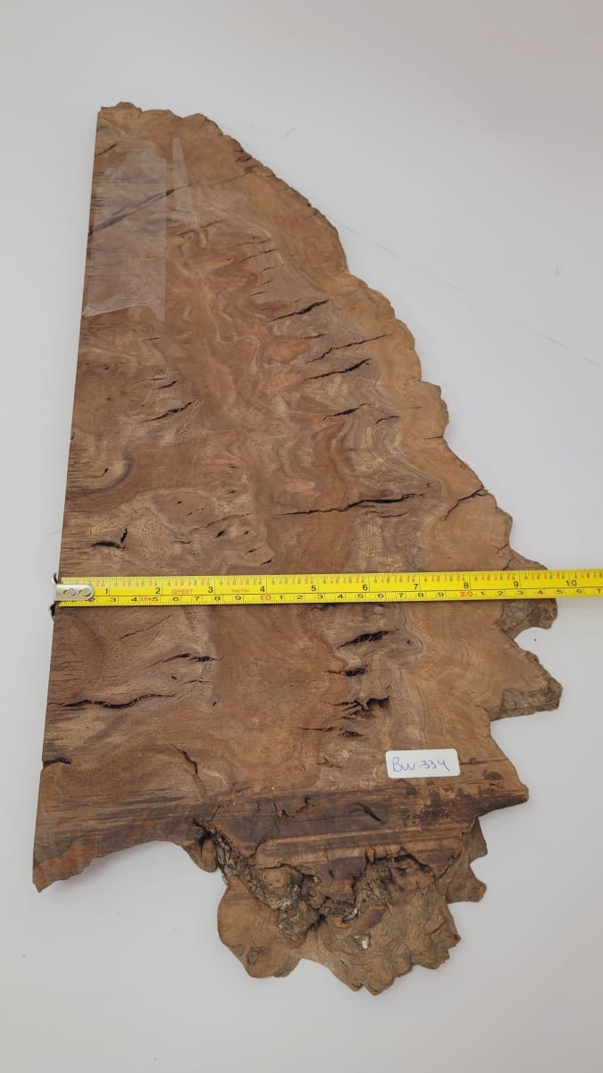 Top Unico REF: BW-334 de Raiz Black Walnut8