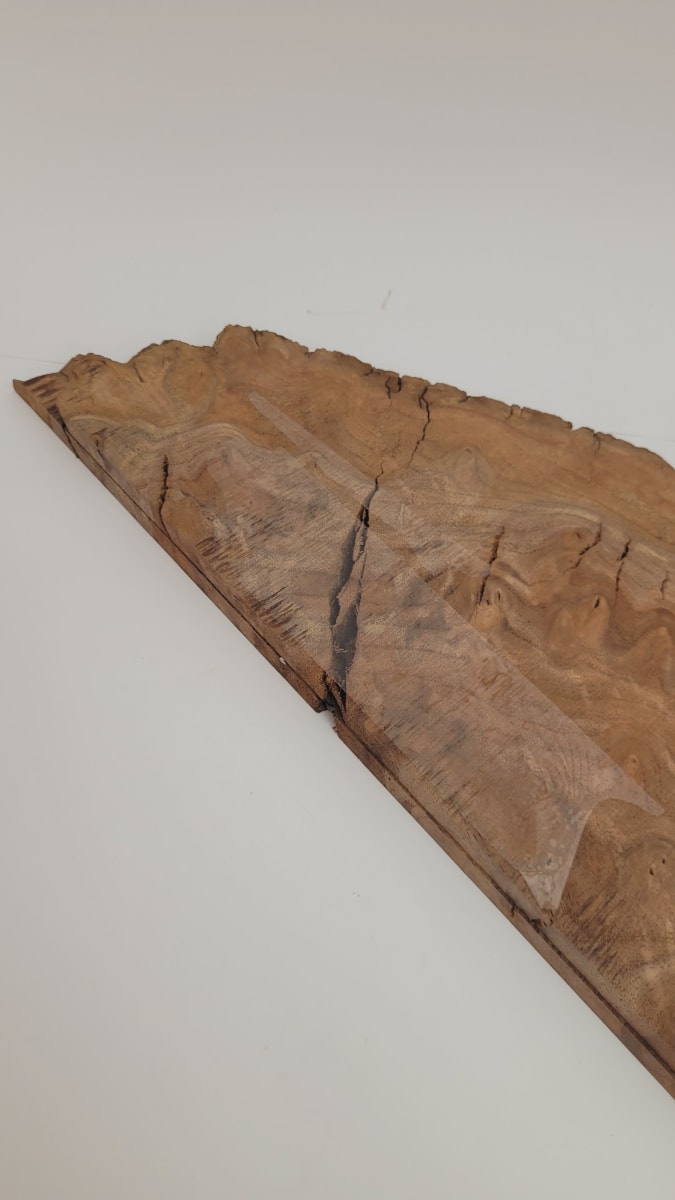 Top Unico REF: BW-334 de Raiz Black Walnut7