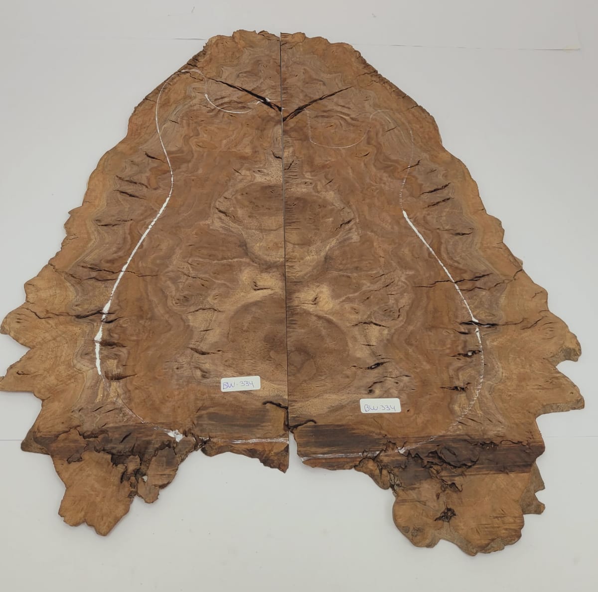 Top Unico REF: BW-334 de Raiz Black Walnut 0