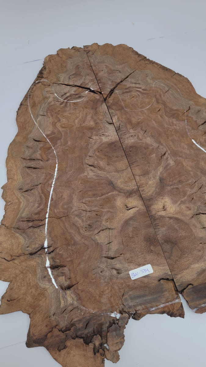 Top Unico REF: BW-334 de Raiz Black Walnut3