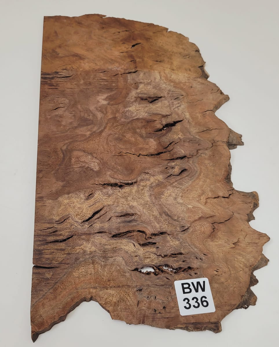 Pieza Unica REF: BW-336 de Raiz de Black Walnut3
