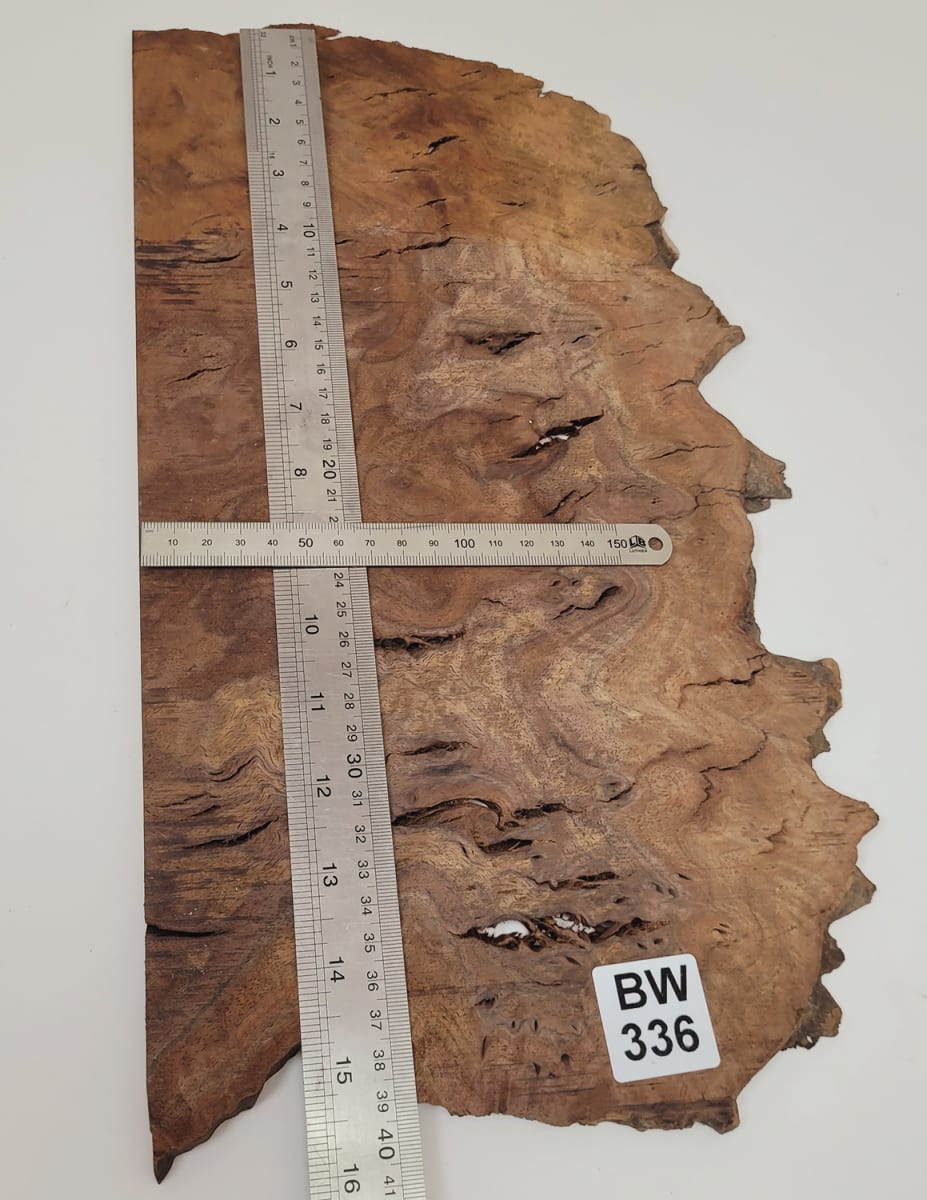 Pieza Unica REF: BW-336 de Raiz de Black Walnut4