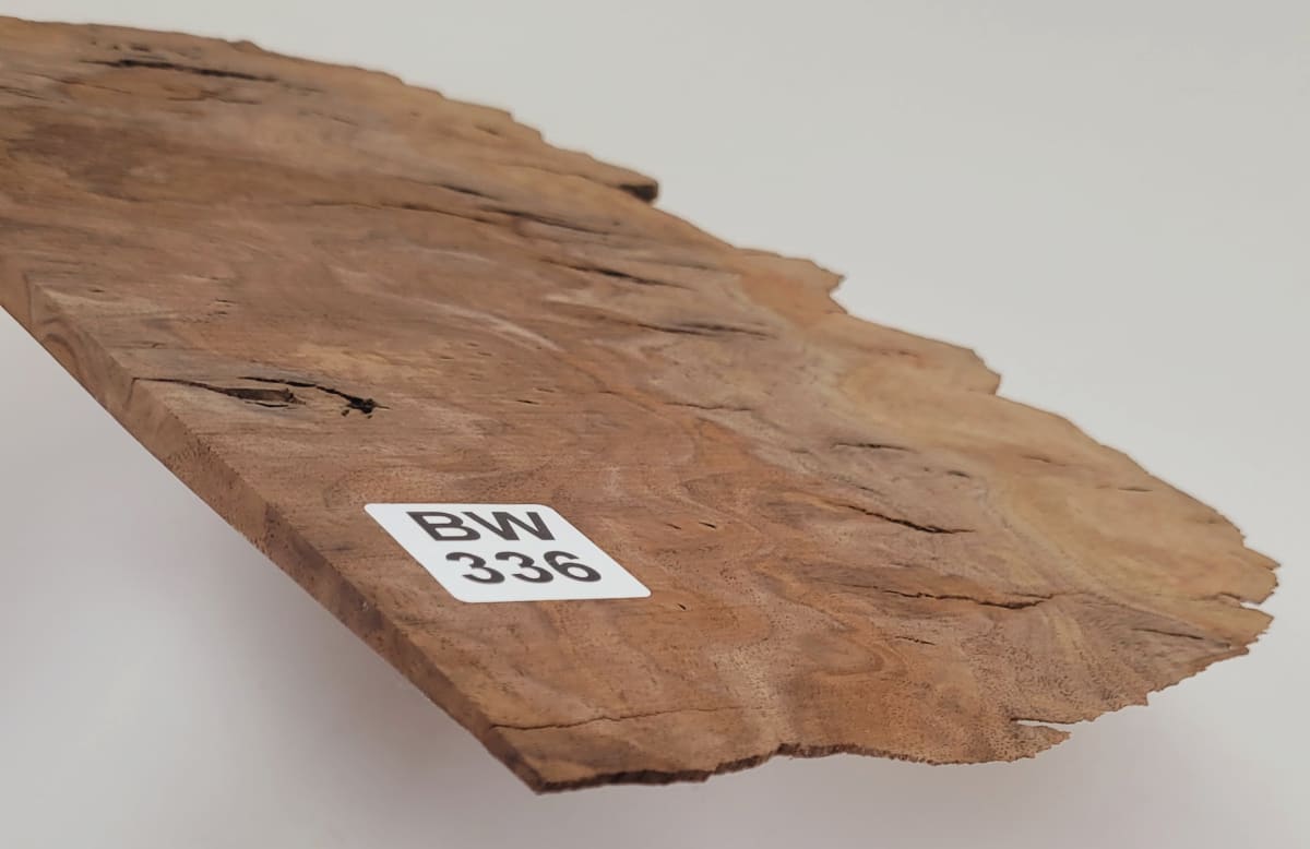 Set de Fondo y Costados BW-351 de Black Walnut para Instrumentos Pequeños5