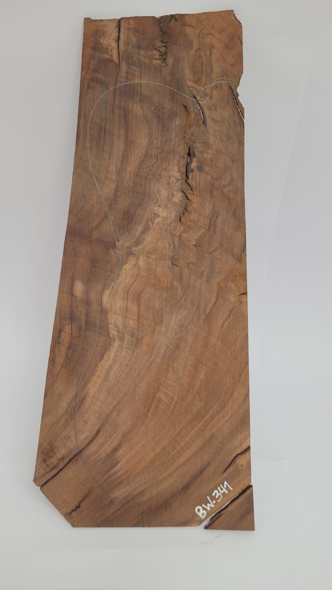 Top Unico REF: BW-341 de Raiz Black Walnut1