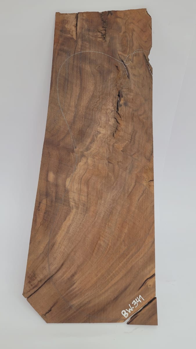 Top Unico REF: BW-341 de Raiz Black Walnut2