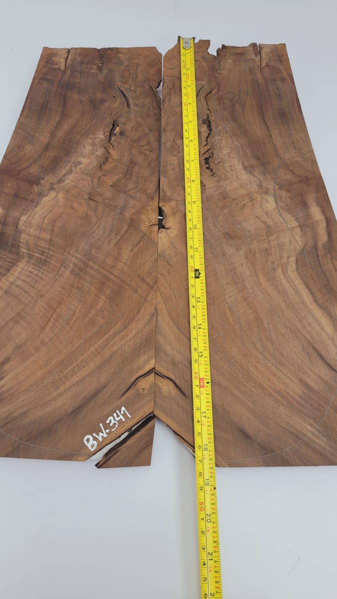 Top Unico REF: BW-341 de Raiz Black Walnut11