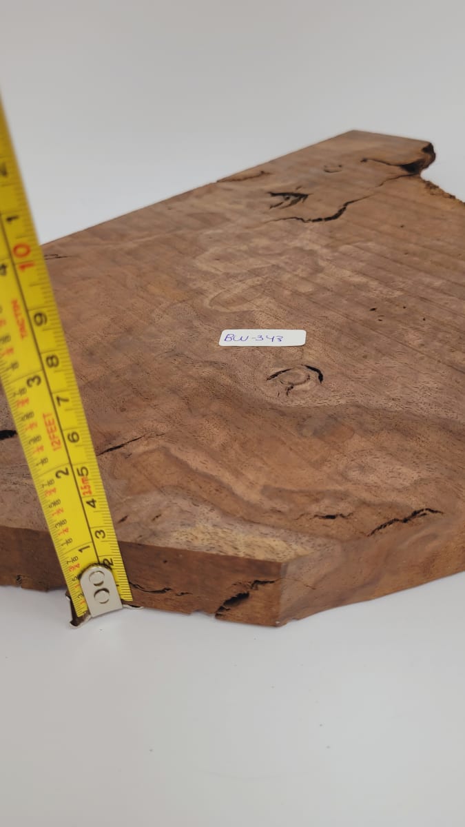 Pieza Unica REF: BW-343 de Raiz de Black Walnut para Artesania y Tallado4