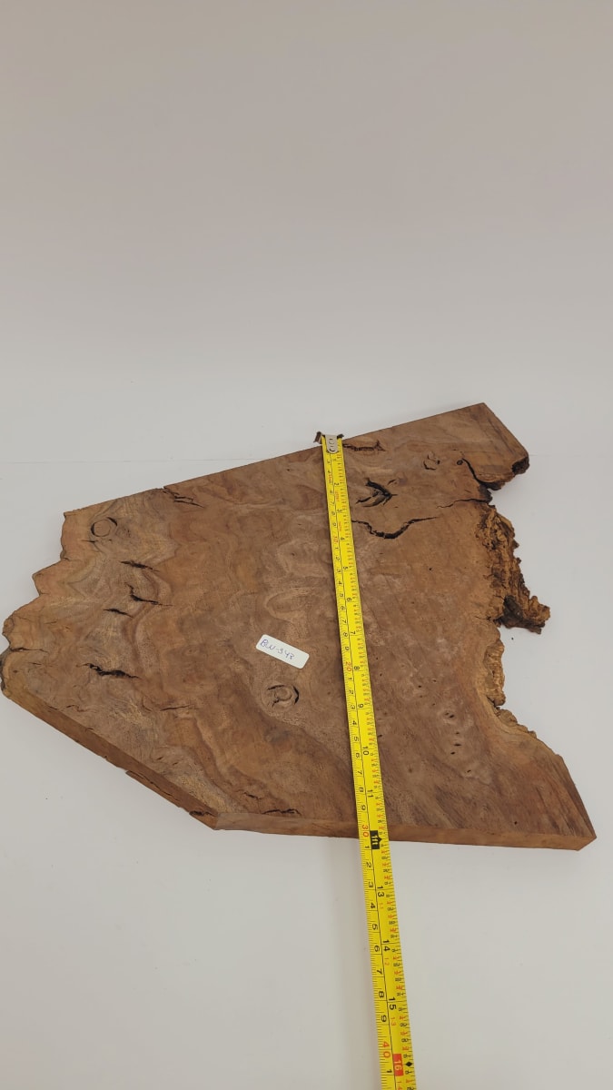 Pieza Unica REF: BW-343 de Raiz de Black Walnut para Artesania y Tallado2