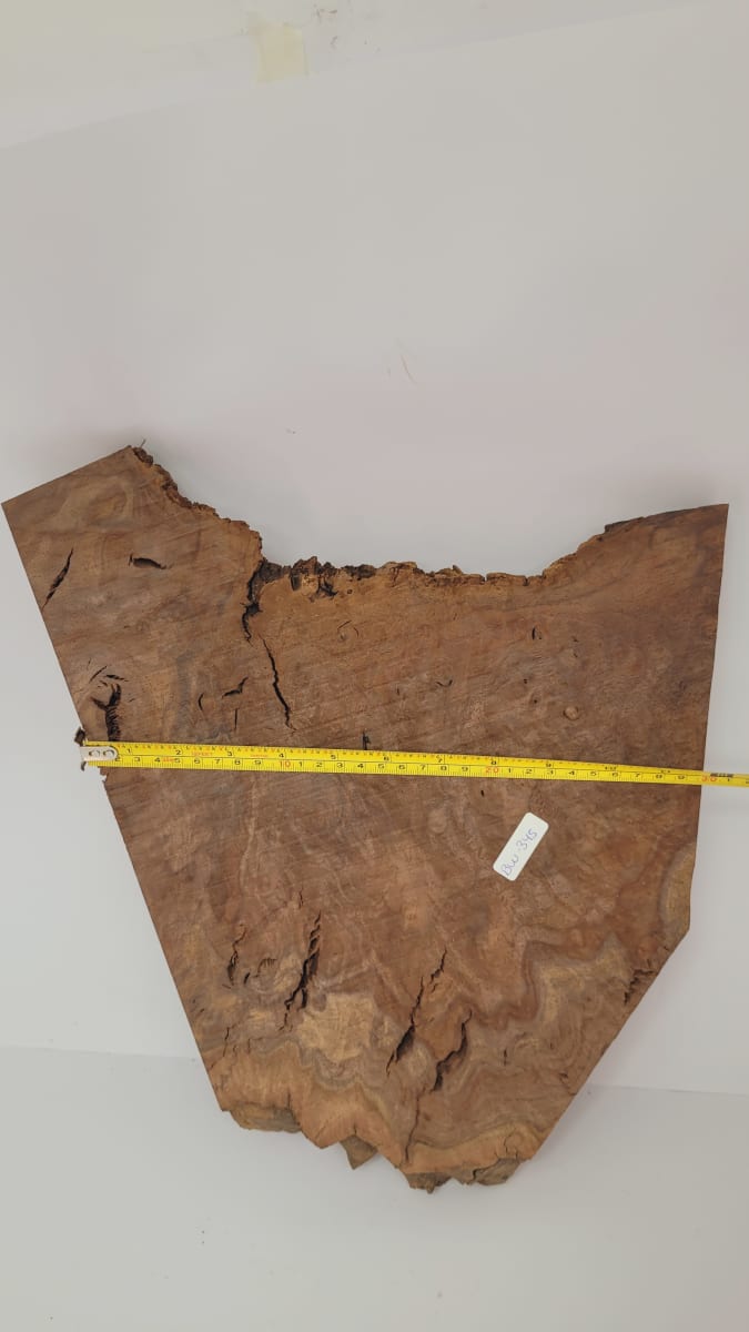 Pieza Unica REF: BW-345 de Raiz de Black Walnut para Artesania y Tallado7