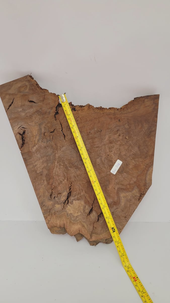 Pieza Unica REF: BW-345 de Raiz de Black Walnut para Artesania y Tallado6