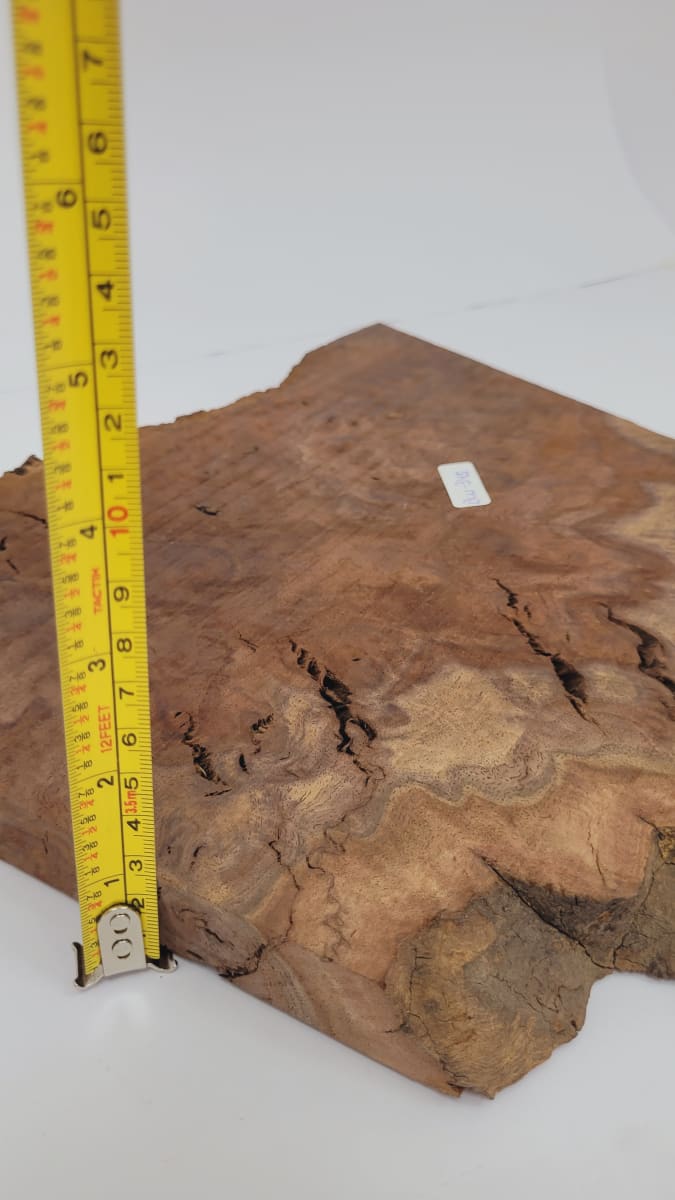 Pieza Unica REF: BW-345 de Raiz de Black Walnut para Artesania y Tallado4