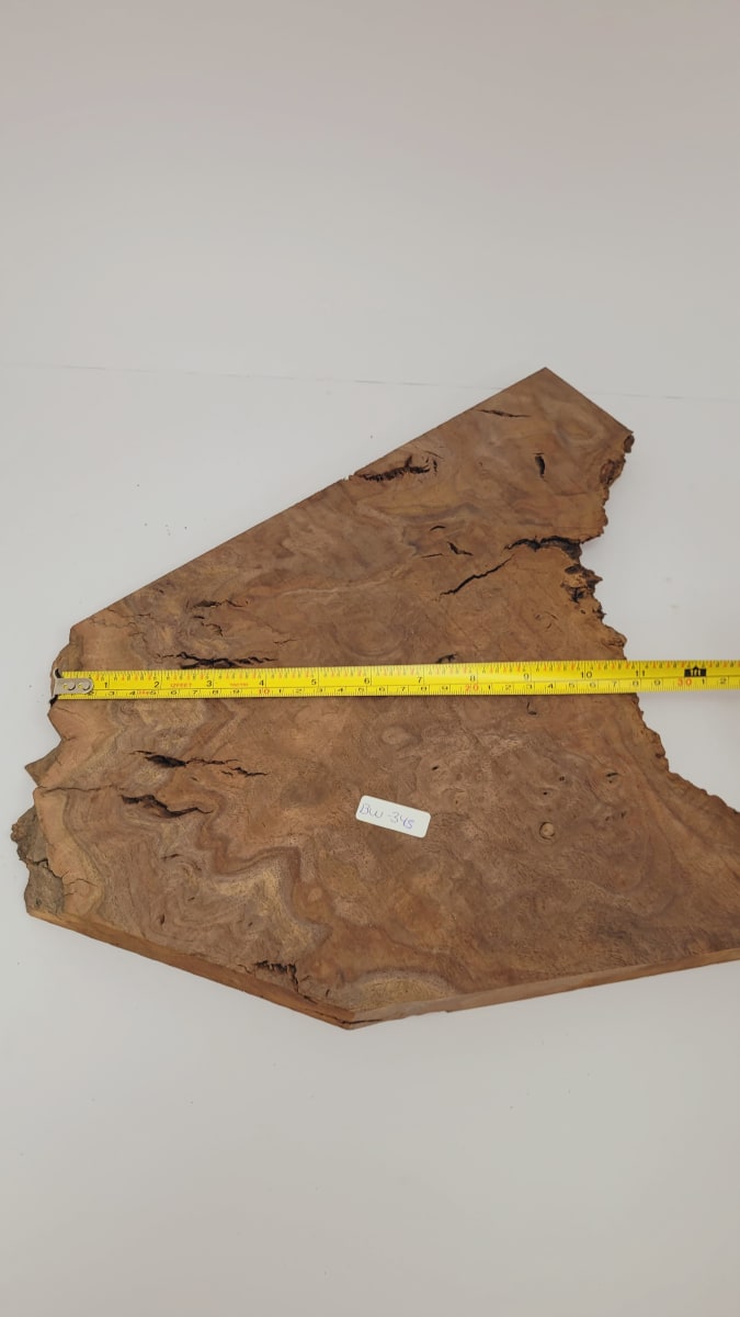 Pieza Unica REF: BW-345 de Raiz de Black Walnut para Artesania y Tallado2