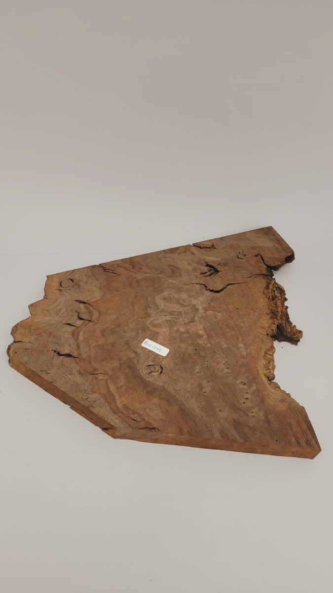 Pieza Unica REF: BW-345 de Raiz de Black Walnut para Artesania y Tallado 0