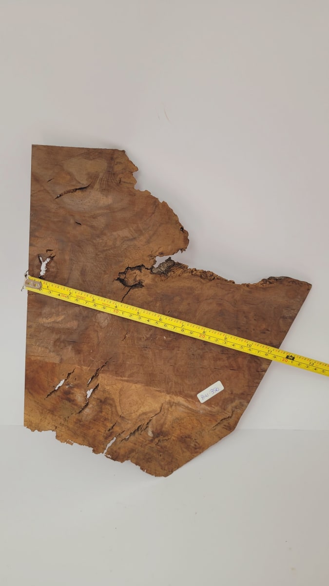 Pieza Unica REF: BW-350 de Raiz de Black Walnut para Artesania y Tallado3