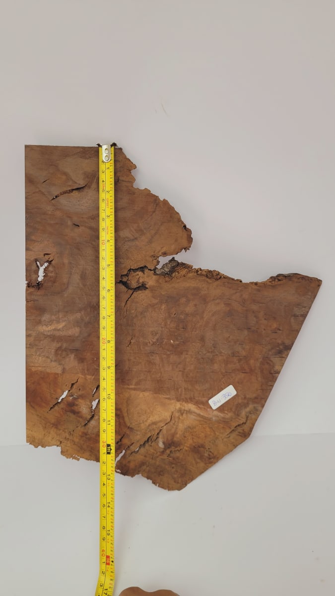 Pieza Unica REF: BW-350 de Raiz de Black Walnut para Artesania y Tallado2