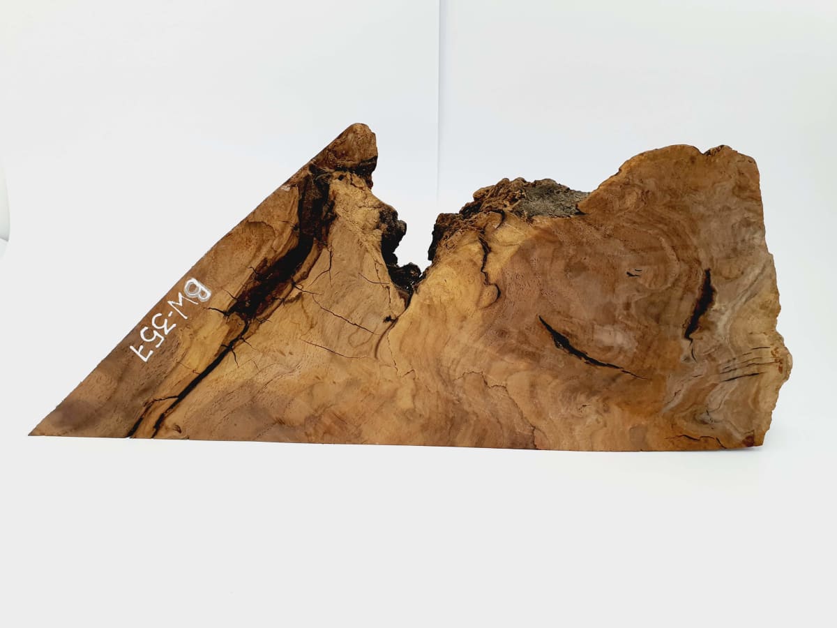 Pieza Unica REF: BW-357 de Raiz de Black Walnut para Artesania y Tallado 0