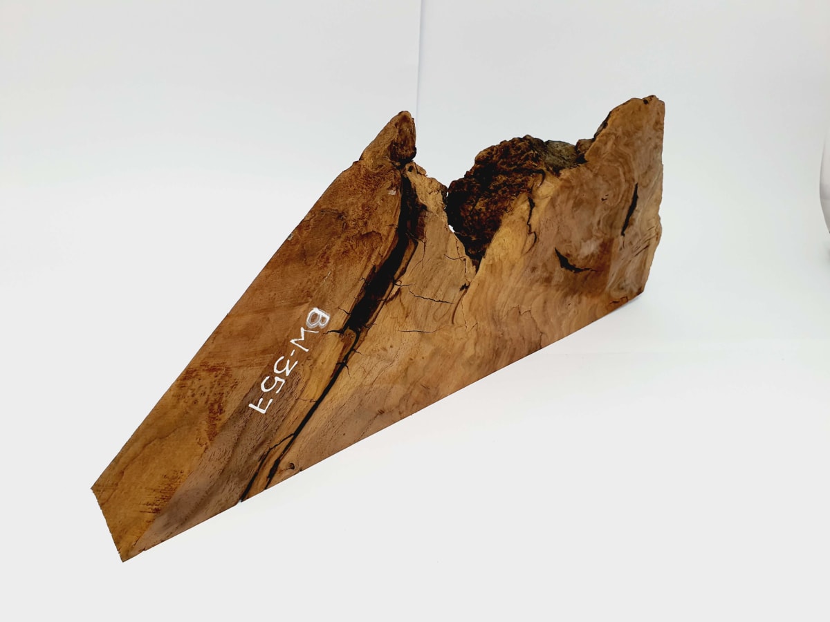 Pieza Unica REF: BW-357 de Raiz de Black Walnut para Artesania y Tallado2