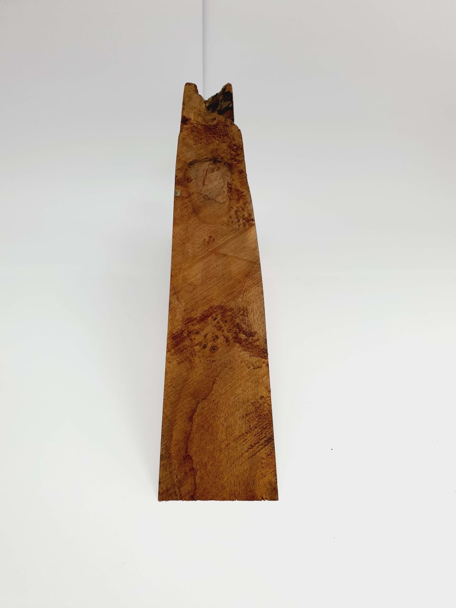 Pieza Unica REF: BW-357 de Raiz de Black Walnut para Artesania y Tallado4