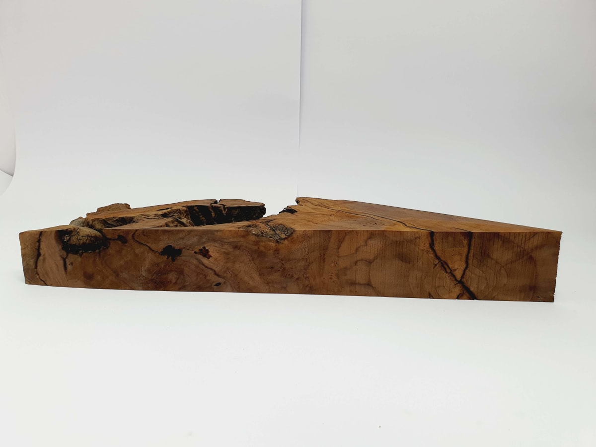 Pieza Unica REF: BW-357 de Raiz de Black Walnut para Artesania y Tallado6