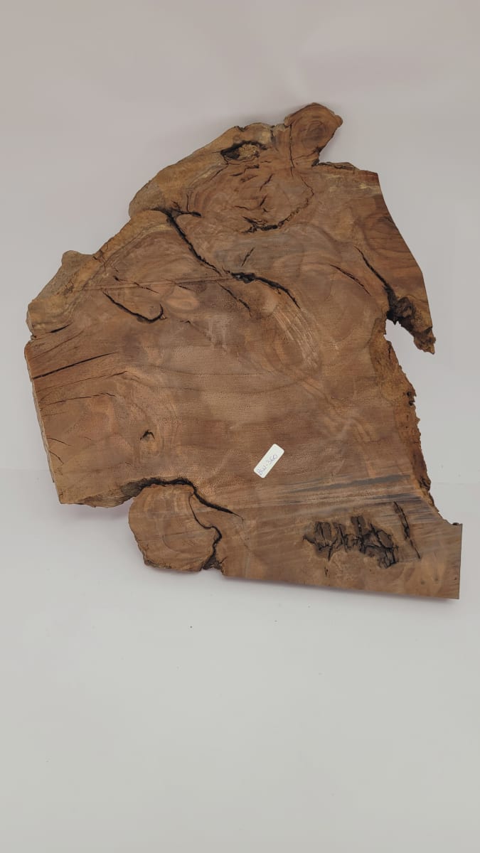 Pieza Unica REF: BW-360 de Raiz de Black Walnut para Artesania y Tallado10