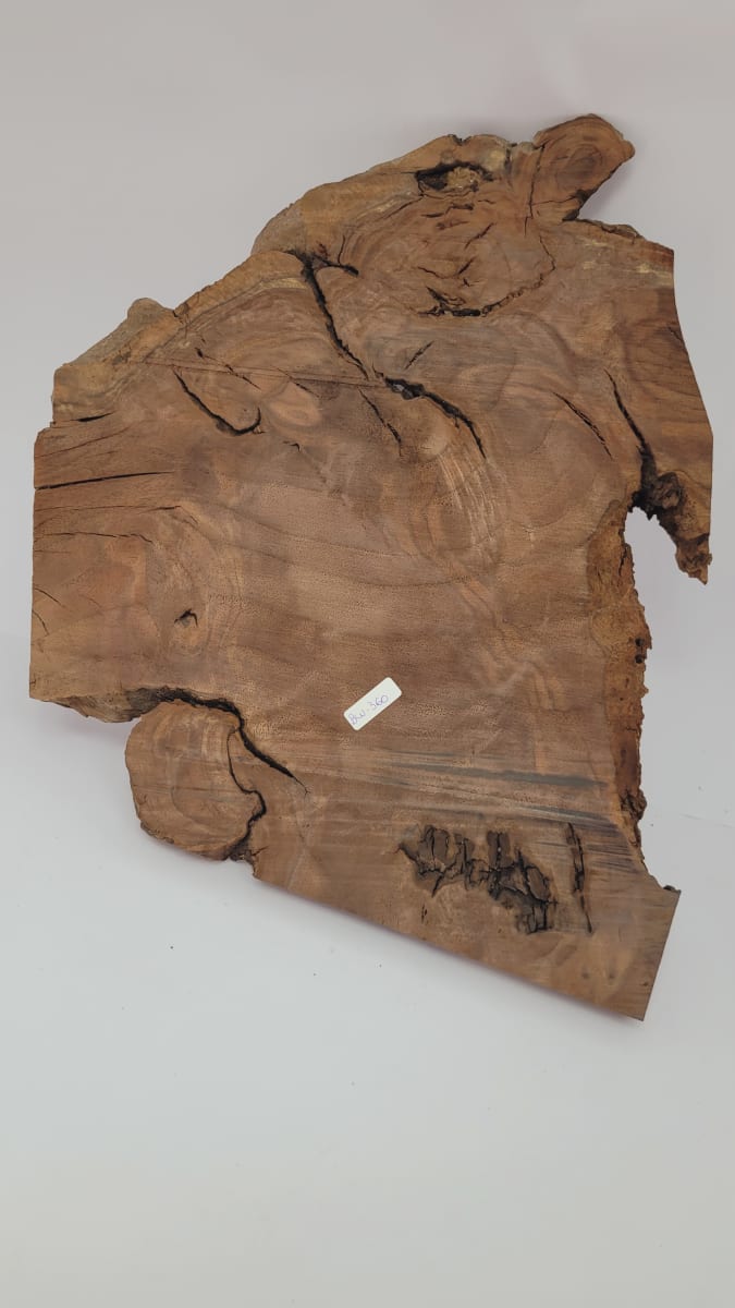 Pieza Unica REF: BW-360 de Raiz de Black Walnut para Artesania y Tallado9