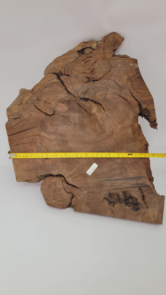 Pieza Unica REF: BW-360 de Raiz de Black Walnut para Artesania y Tallado8