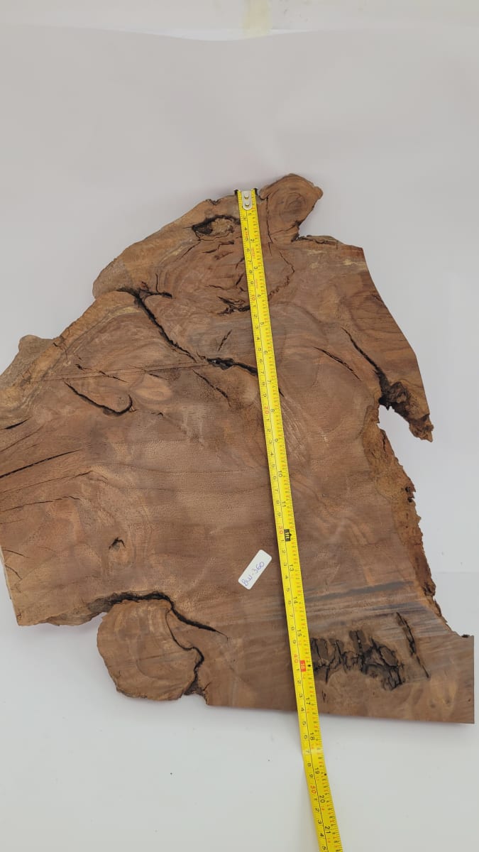 Pieza Unica REF: BW-360 de Raiz de Black Walnut para Artesania y Tallado7