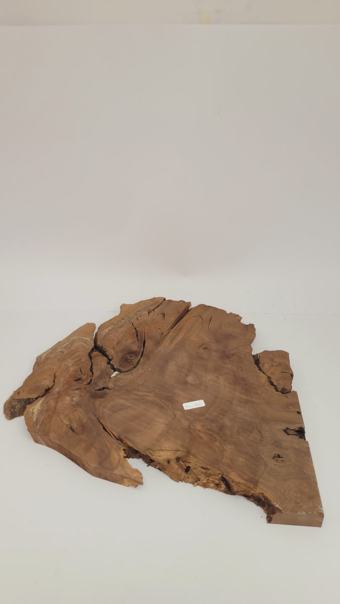 Pieza Unica REF: BW-360 de Raiz de Black Walnut para Artesania y Tallado5