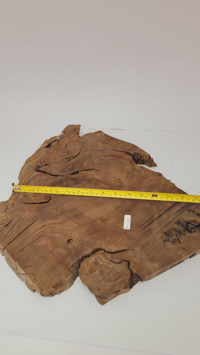 Pieza Unica REF: BW-360 de Raiz de Black Walnut para Artesania y Tallado 0