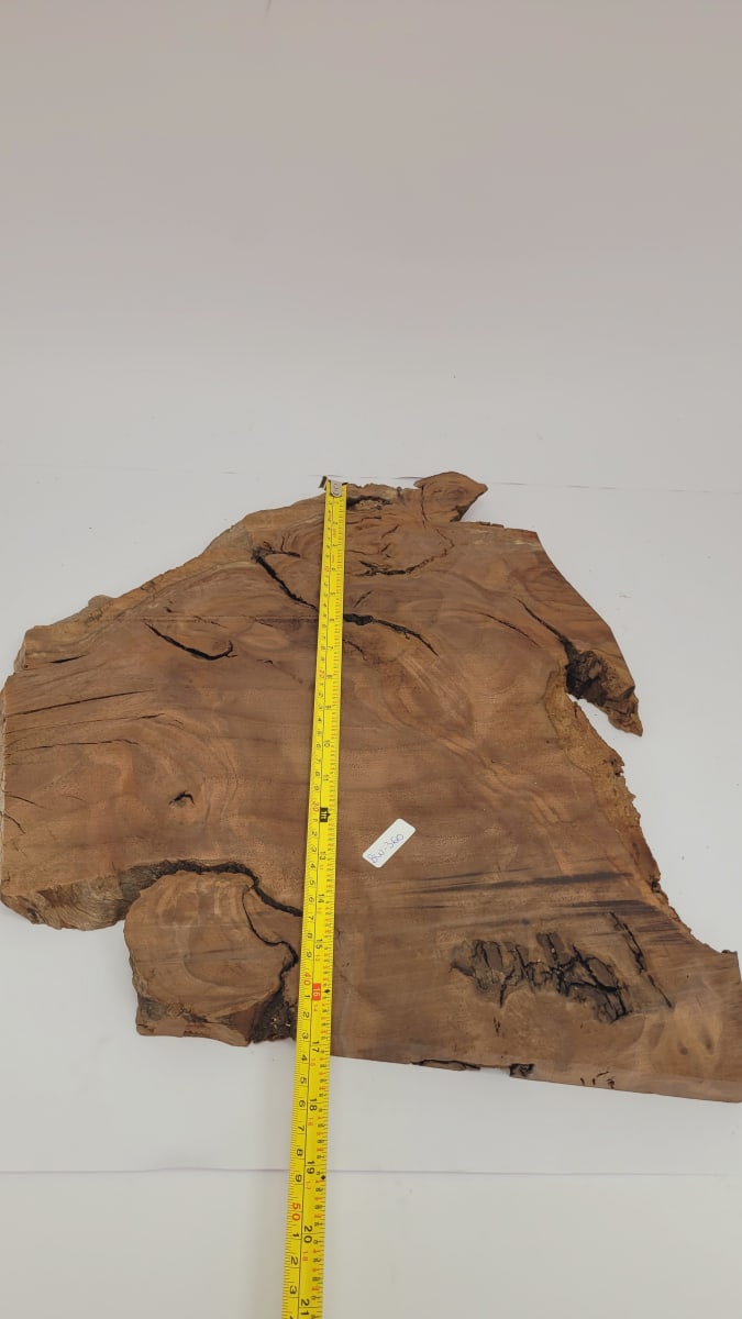 Pieza Unica REF: BW-360 de Raiz de Black Walnut para Artesania y Tallado4