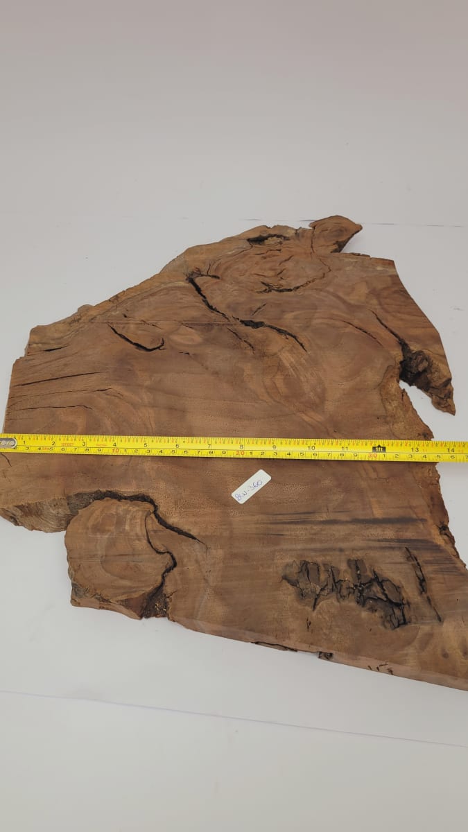 Pieza Unica REF: BW-360 de Raiz de Black Walnut para Artesania y Tallado3