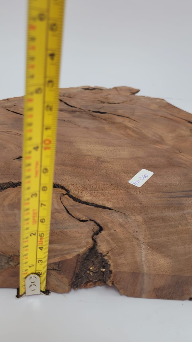 Pieza Unica REF: BW-360 de Raiz de Black Walnut para Artesania y Tallado2