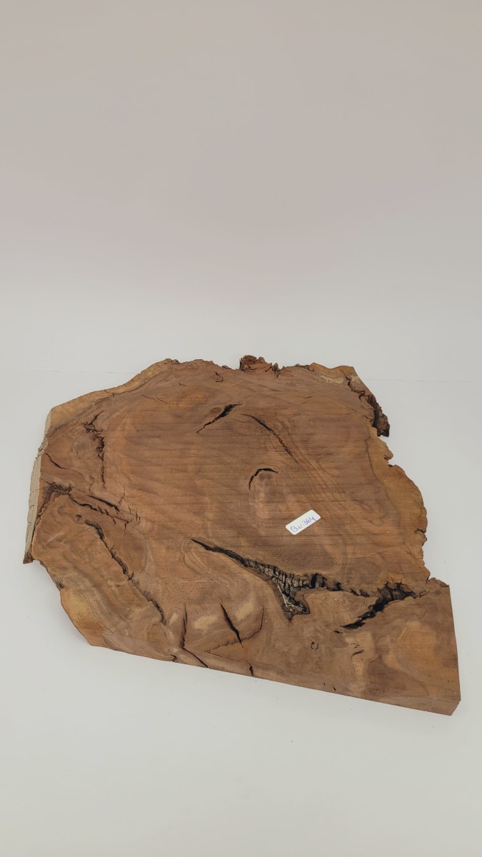 Pieza Unica REF: BW-364 de Raiz de Black Walnut para Artesania y Tallado9