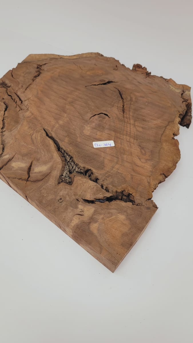 Pieza Unica REF: BW-364 de Raiz de Black Walnut para Artesania y Tallado8
