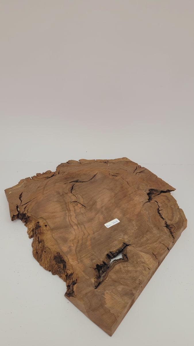Pieza Unica REF: BW-364 de Raiz de Black Walnut para Artesania y Tallado7