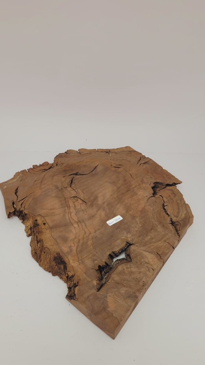 Pieza Unica REF: BW-364 de Raiz de Black Walnut para Artesania y Tallado6