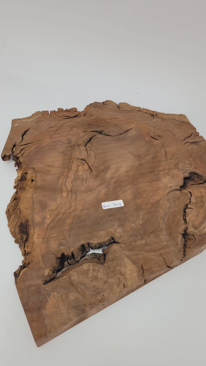 Pieza Unica REF: BW-364 de Raiz de Black Walnut para Artesania y Tallado5