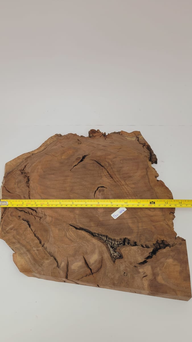 Pieza Unica REF: BW-364 de Raiz de Black Walnut para Artesania y Tallado3