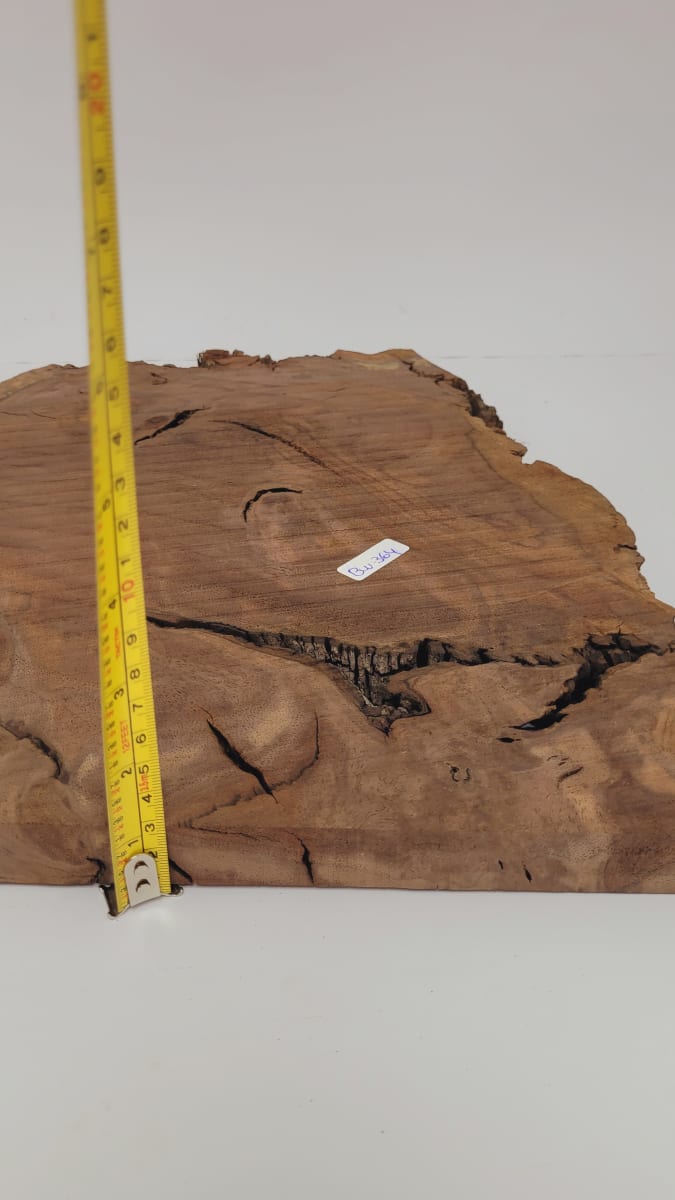 Pieza Unica REF: BW-364 de Raiz de Black Walnut para Artesania y Tallado2