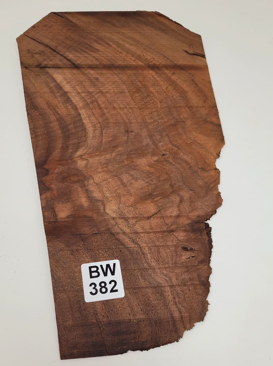 Pieza Unica REF: BW-382 de Raiz de Black Walnut2