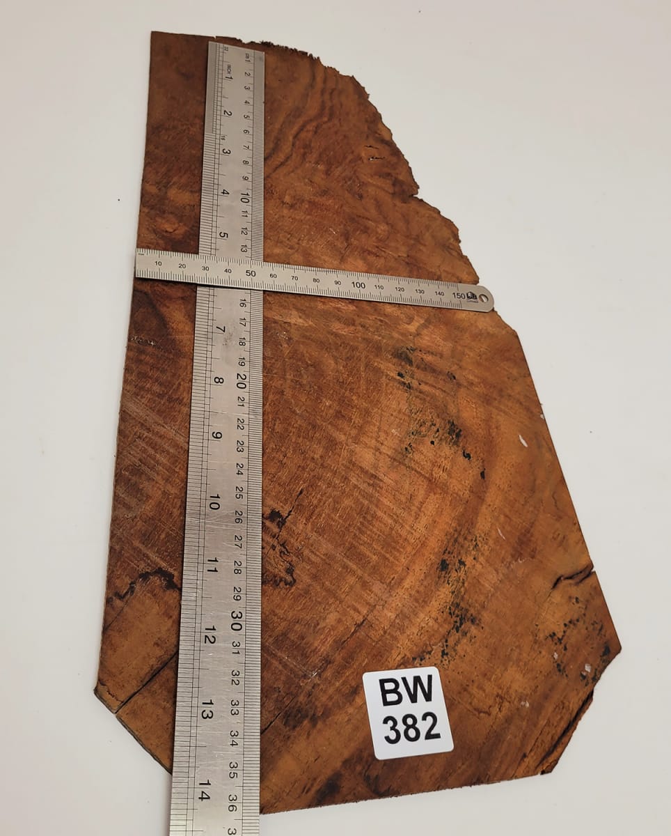 Pieza Unica REF: BW-382 de Raiz de Black Walnut4