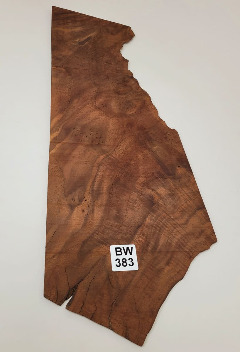 Pieza Unica REF: BW-383 de Raiz de Black Walnut 0