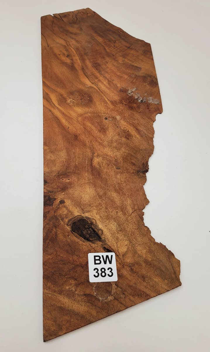 Pieza Unica REF: BW-383 de Raiz de Black Walnut4