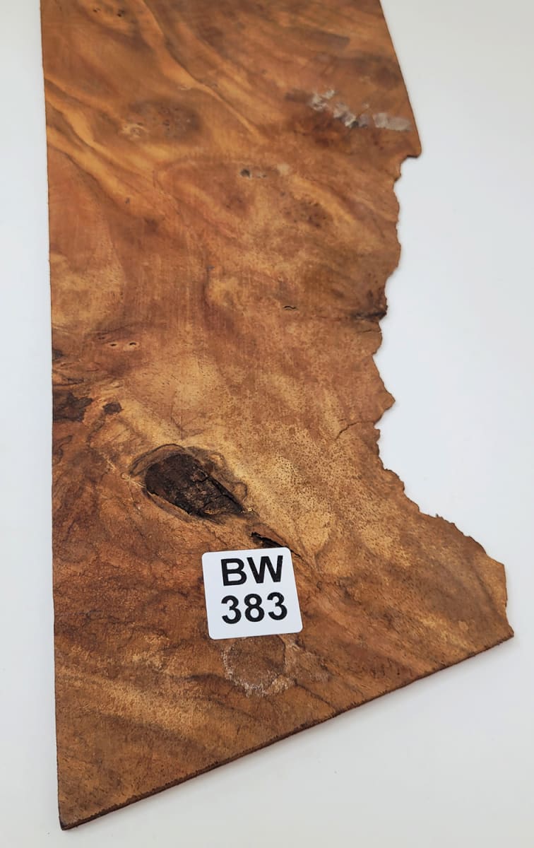 Pieza Unica REF: BW-383 de Raiz de Black Walnut5
