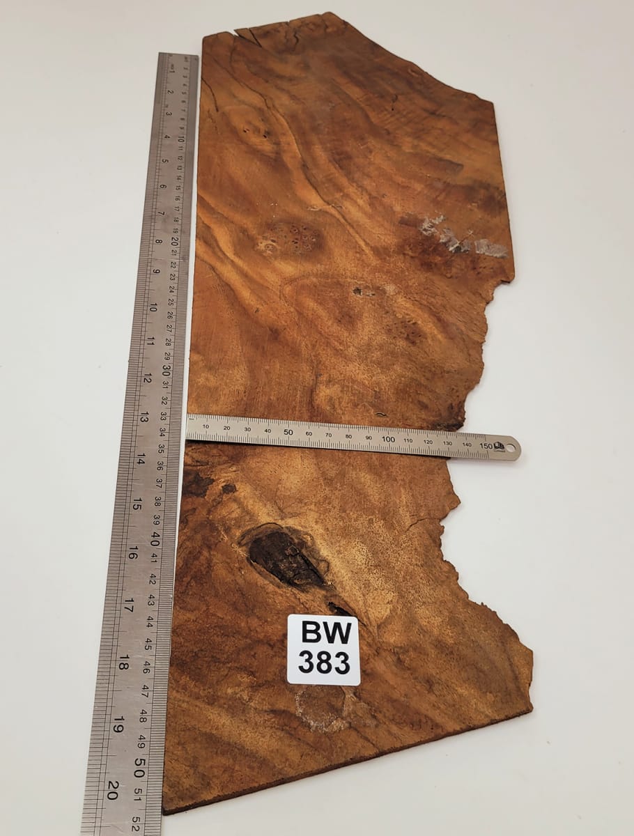 Pieza Unica REF: BW-383 de Raiz de Black Walnut6